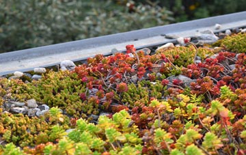 the cost of Ceann A Gharaidh green roof installation